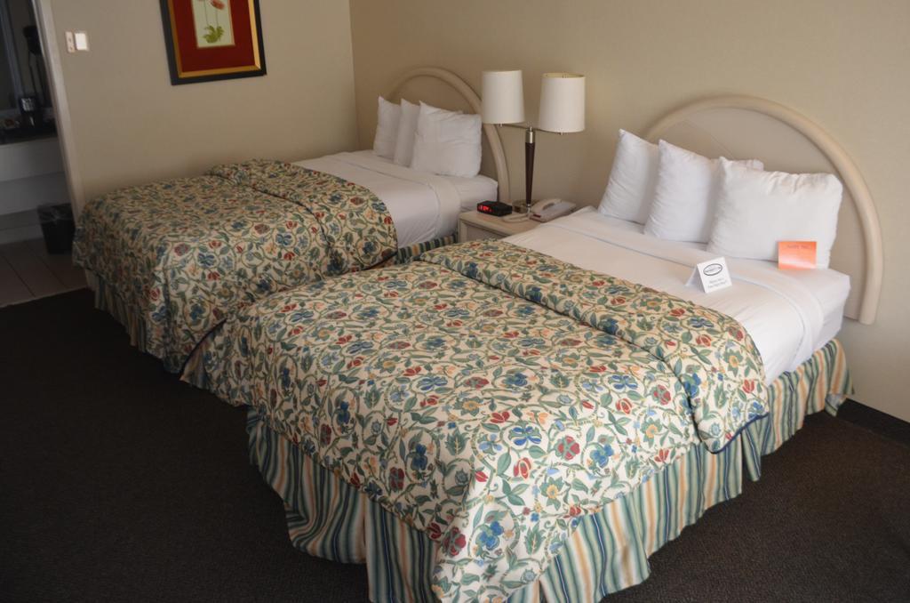 Chapel Hill University Inn المظهر الخارجي الصورة