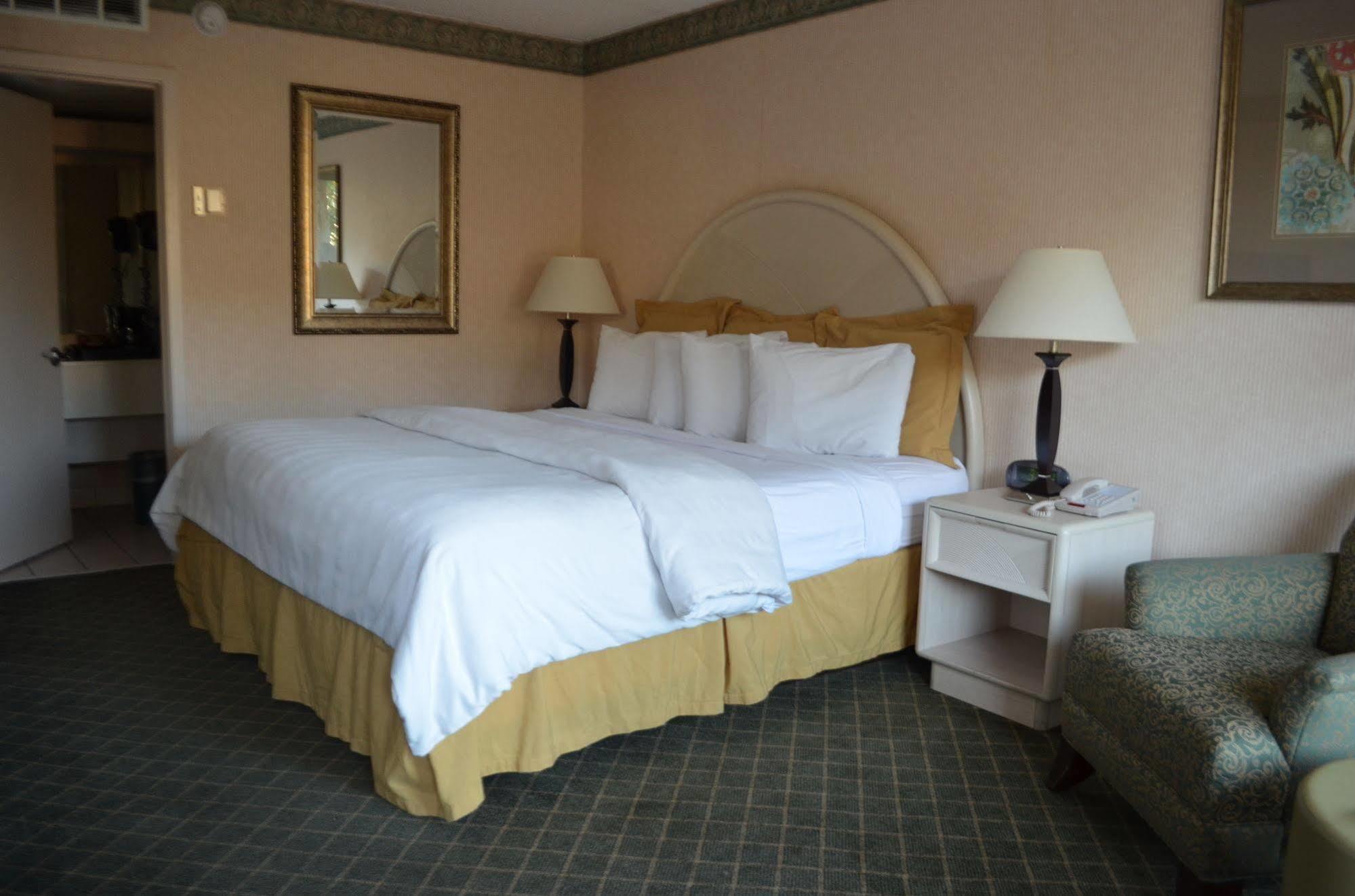 Chapel Hill University Inn المظهر الخارجي الصورة